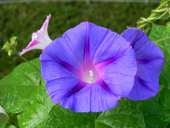 DSCN0004