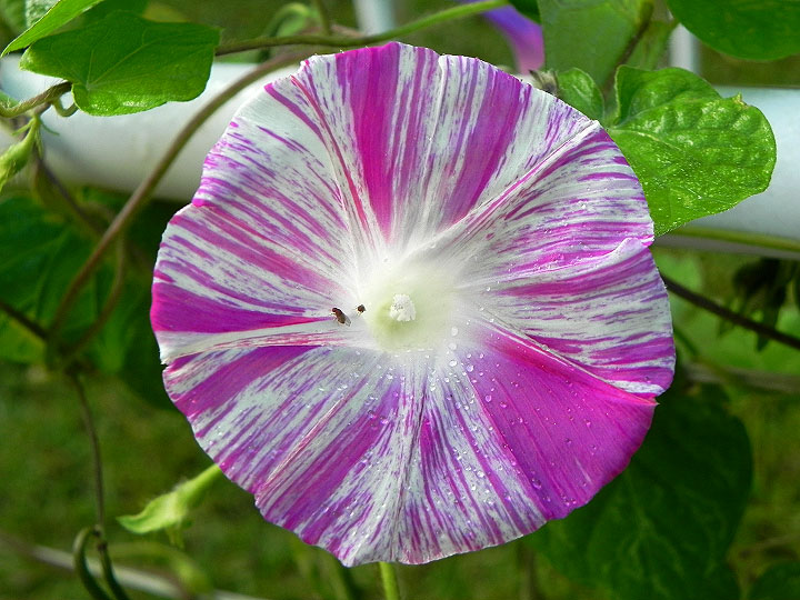 DSCN0005
