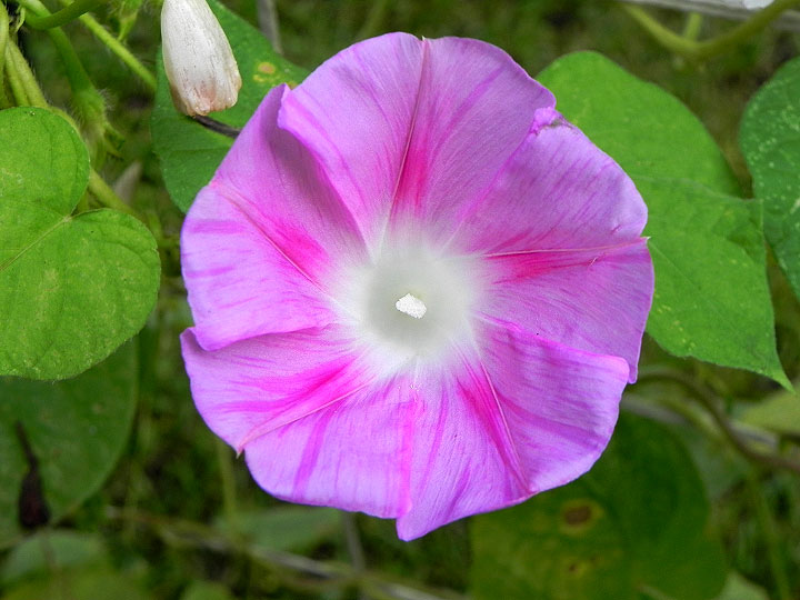 DSCN0085_01