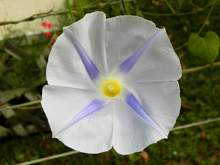 DSCN0090