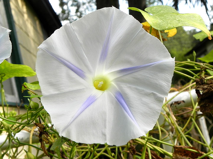 DSCN0091