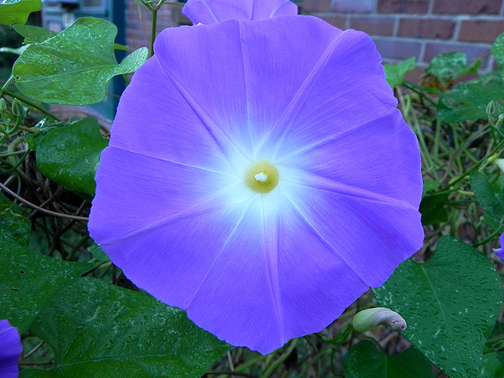 DSCN0122