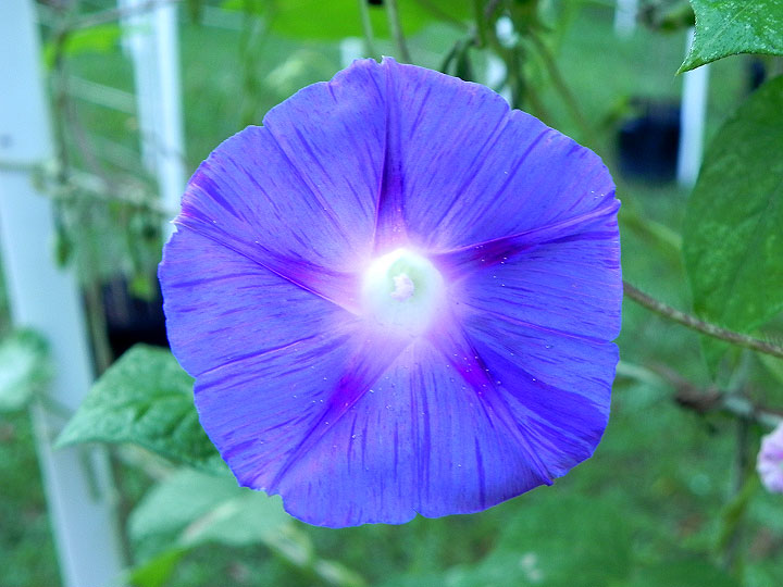 DSCN0143