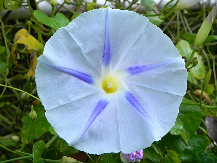 DSCN0148