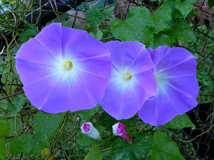 DSCN0169
