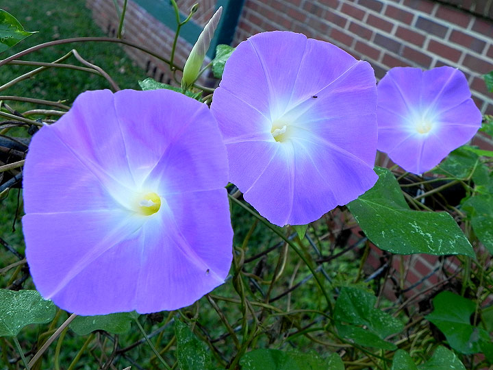DSCN0218