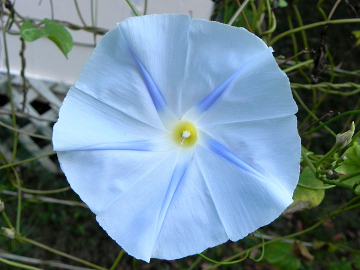 DSCN0240