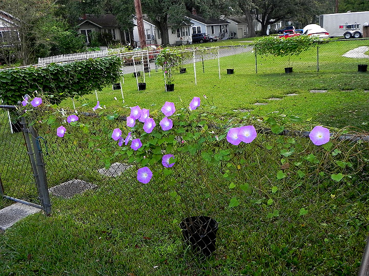 DSCN0252_01