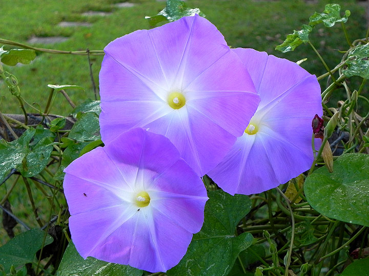 DSCN0255_01