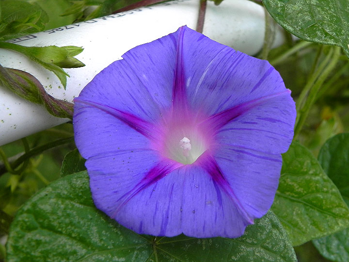 DSCN0283