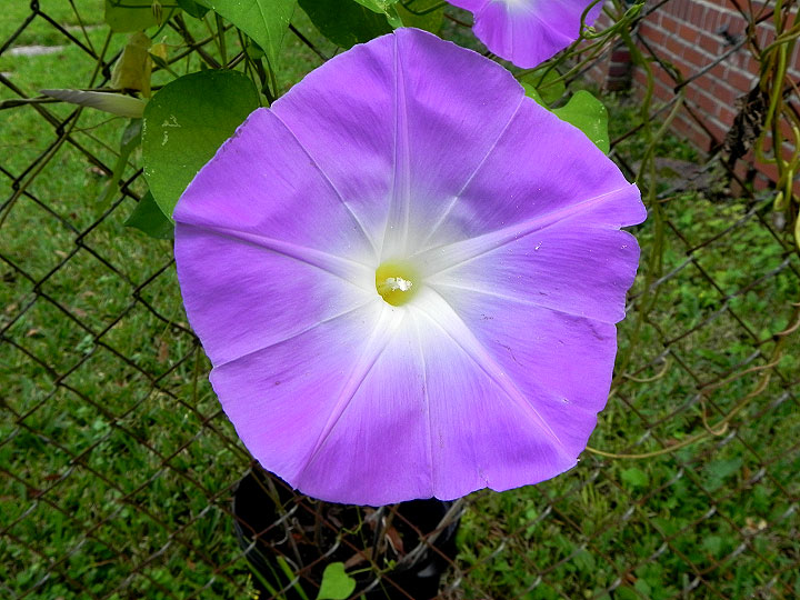 DSCN0307