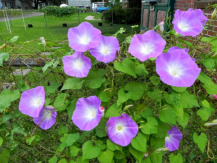 DSCN0309