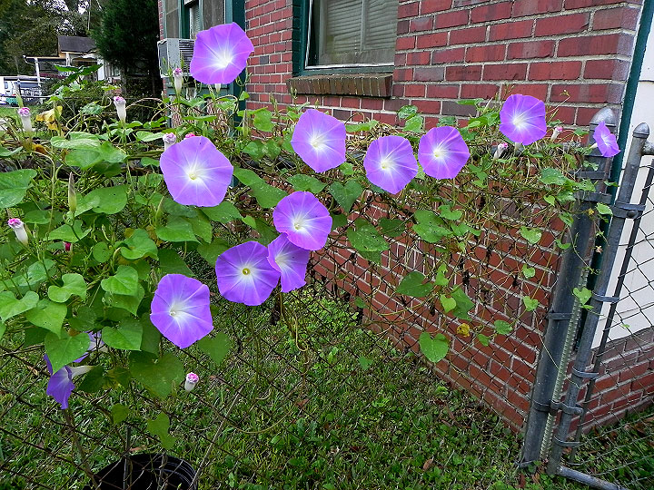 DSCN0316_01