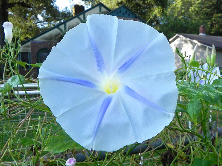 DSCN0419_01