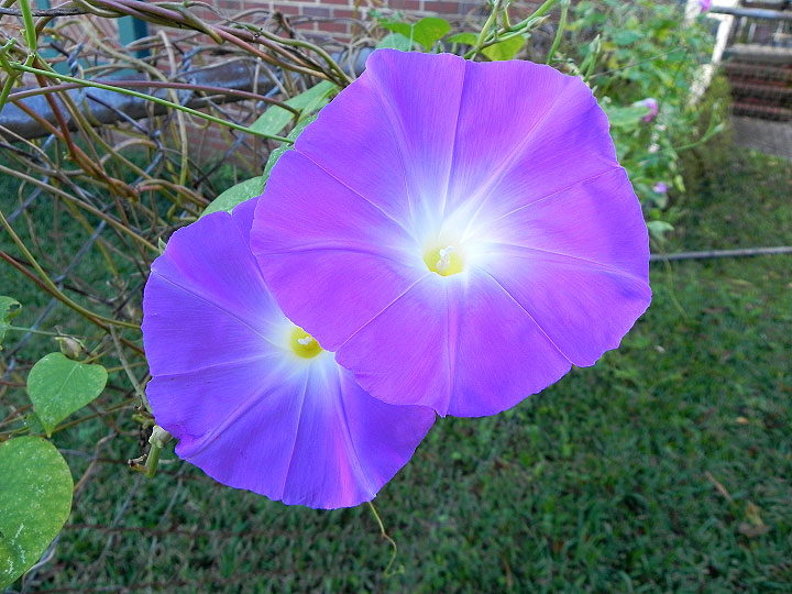 DSCN1052_01