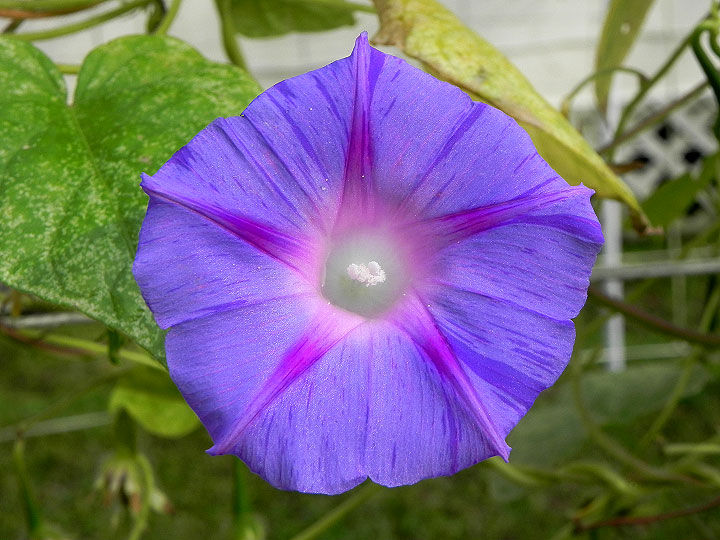 DSCN1162