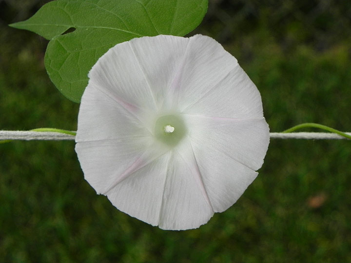 DSCN3982_01