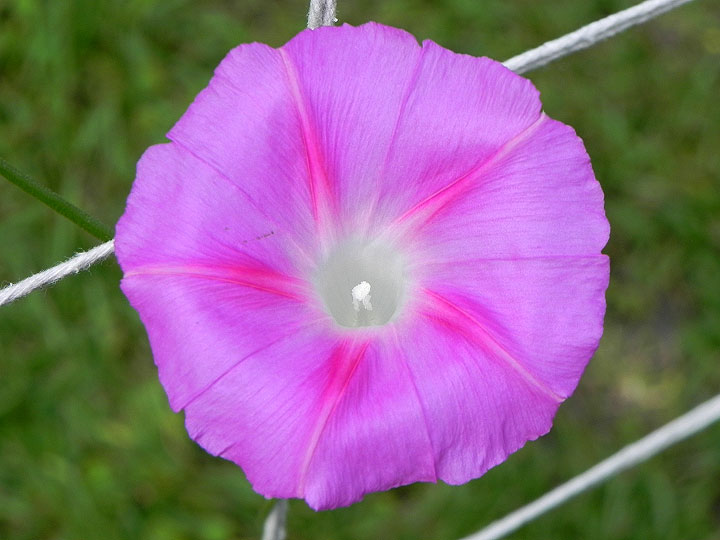 DSCN4027