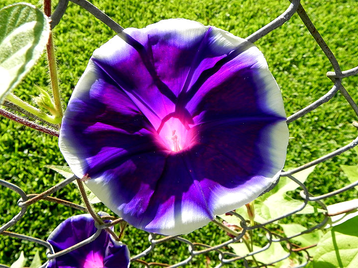 DSCN4537