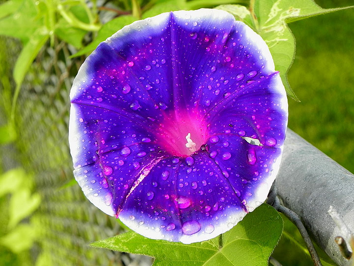 DSCN4646