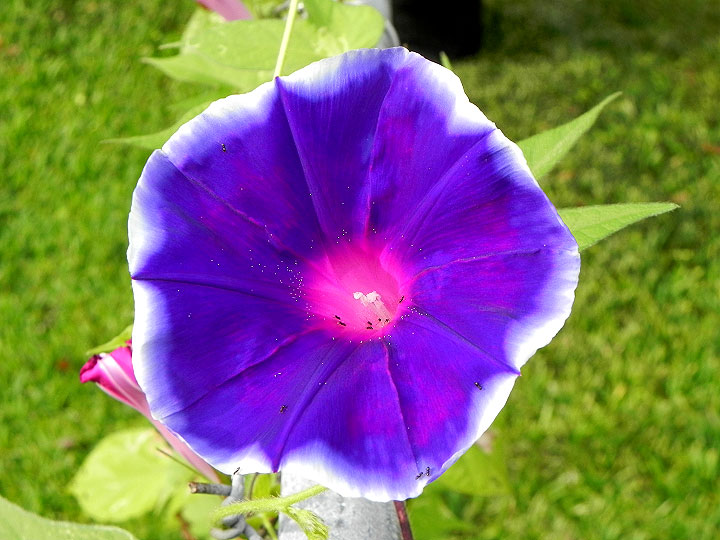 DSCN4787