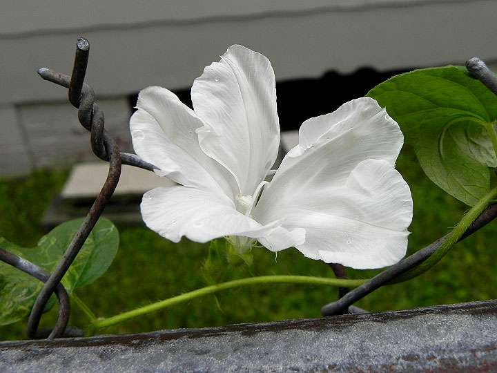 DSCN4807