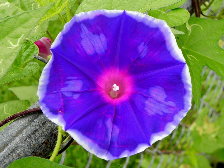 DSCN4825