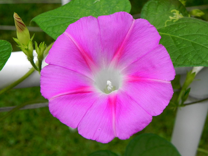 DSCN4833