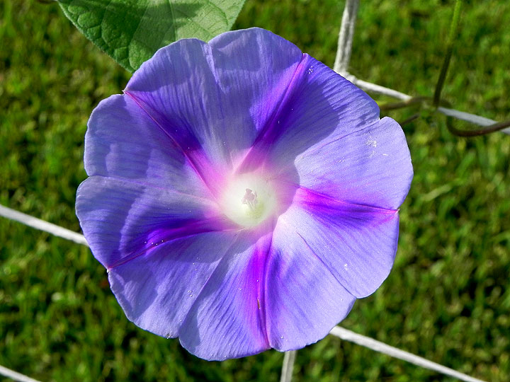 DSCN4851
