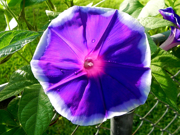 DSCN4901