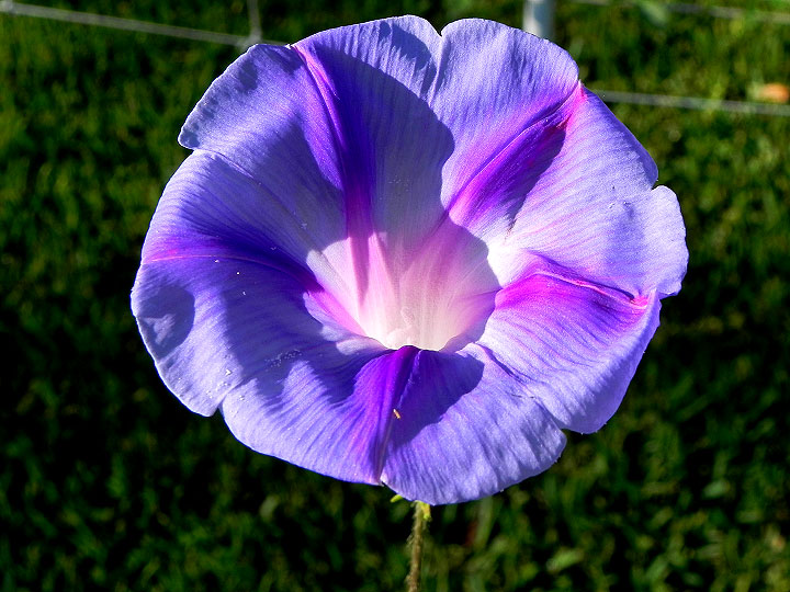 DSCN4931_01