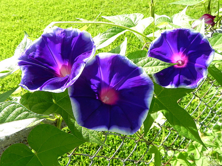 DSCN5029_01