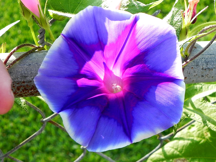 DSCN5089