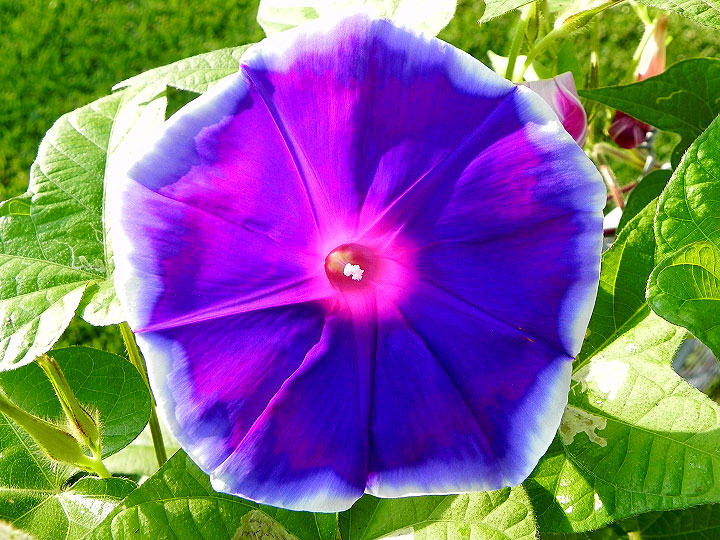 DSCN5090