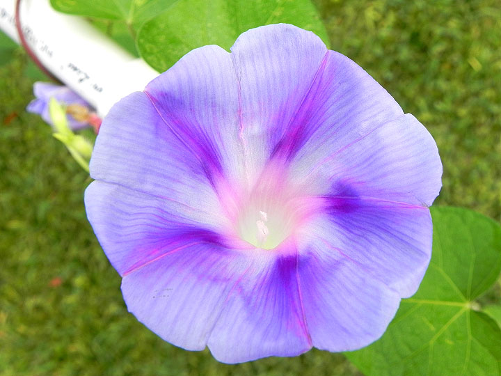 DSCN5132_01