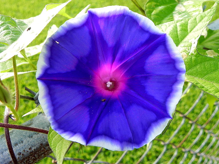 DSCN5304