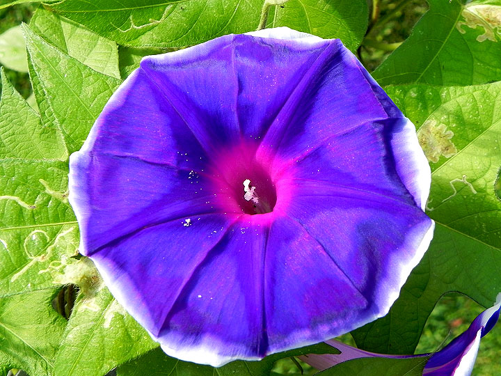 DSCN5305