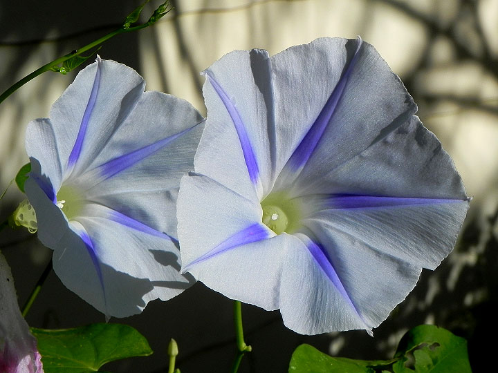 DSCN5364_01