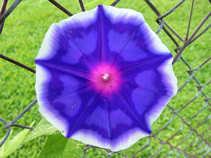 DSCN5414