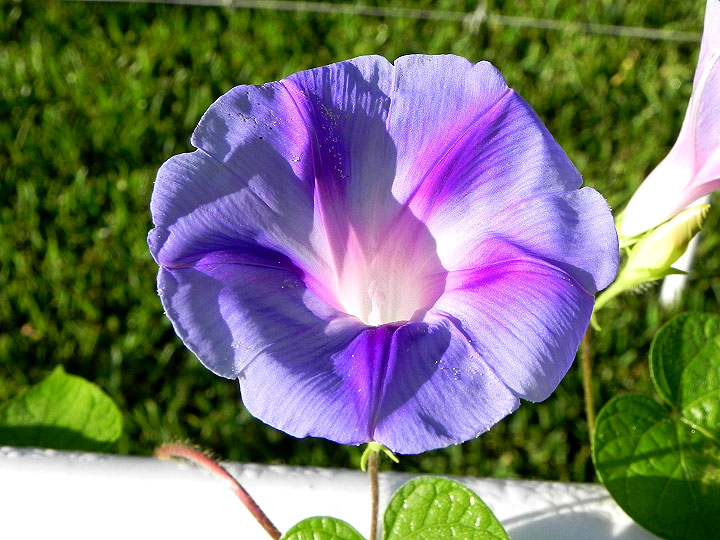 DSCN5455_01