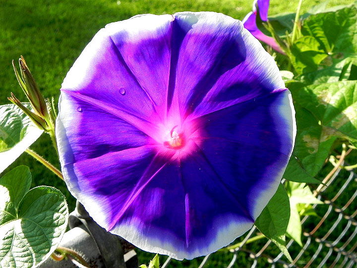 DSCN5462