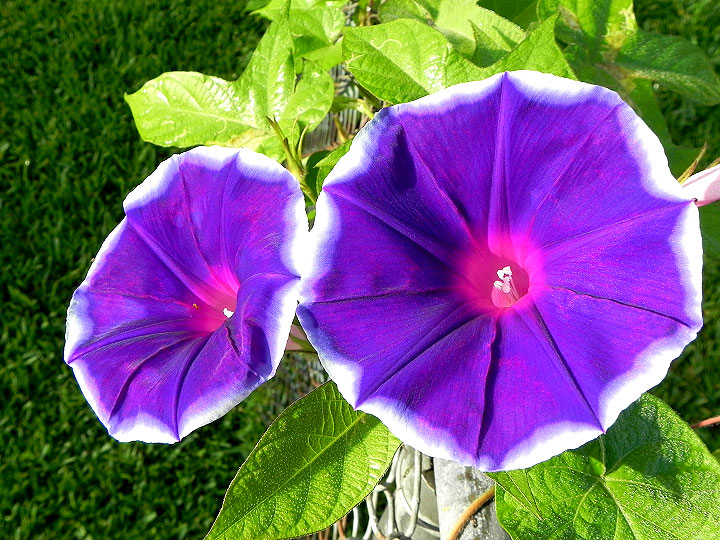 DSCN5515_01