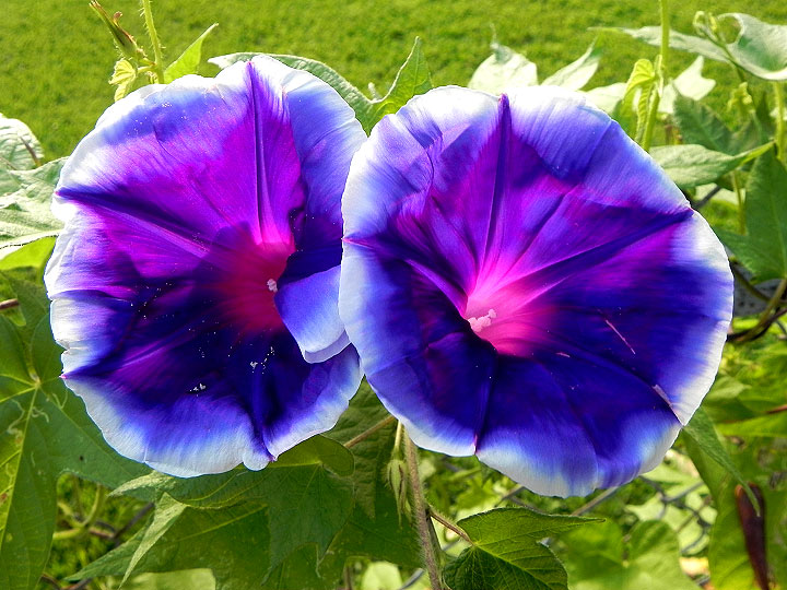 DSCN5633