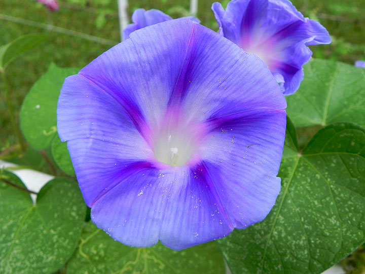 DSCN5681