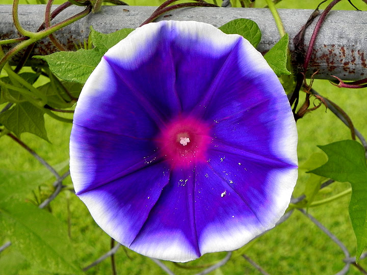 DSCN5698