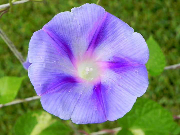 DSCN5745