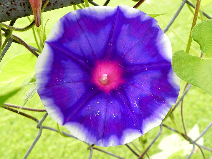 DSCN5755