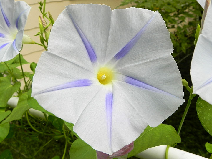 DSCN5780