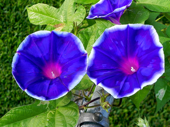 DSCN5864