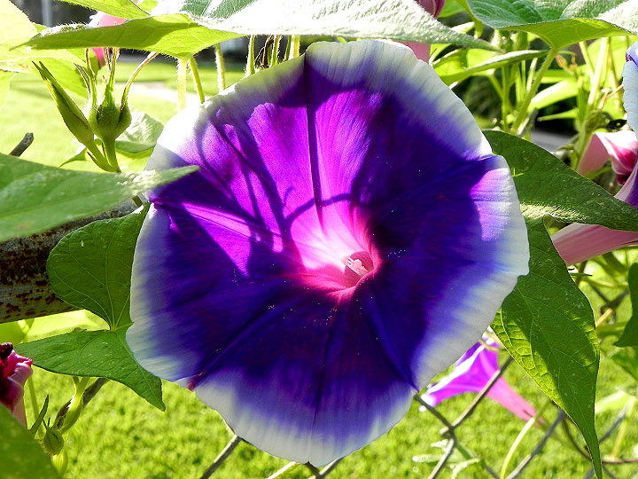 DSCN6147